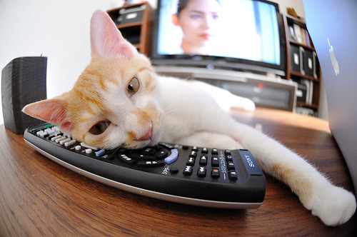 九游sports-“足球+互联网++体育+文化”融合发展新格局逐步明朗，如何打造足球体育文化