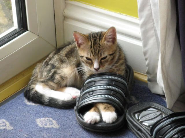 九游娱乐(jiuyou)官方网站-“青春逐梦”青少年篮球系列电影在全国范围内放映引热议，青少年篮球纪录片